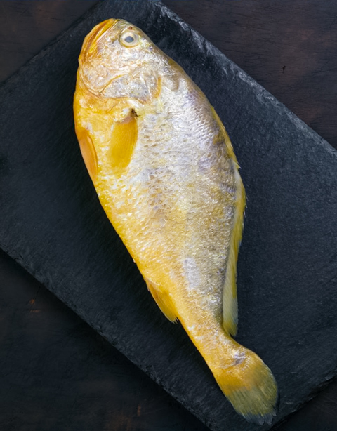 Yellow croaker