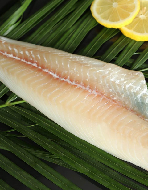 Frozen Haddock