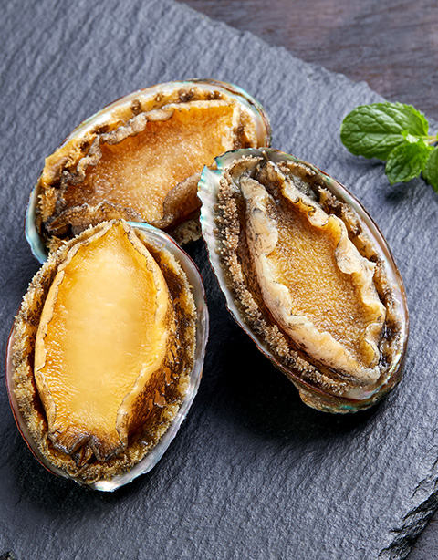 Abalone