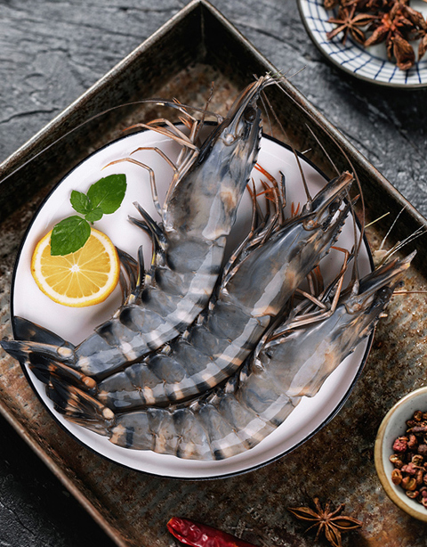Shrimp series