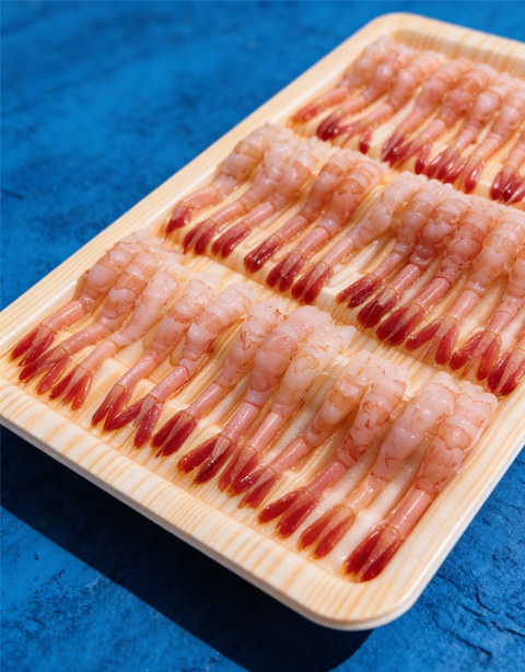 Artic sweet shrimp