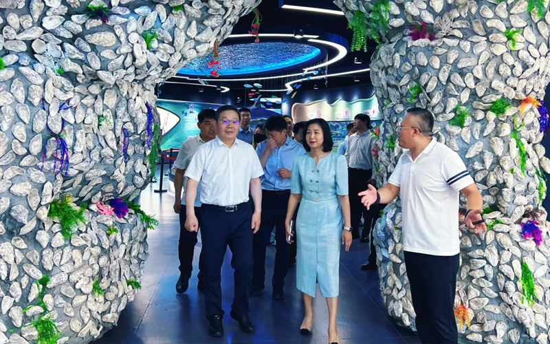 华信资讯丨政企联动拓新路！省委考